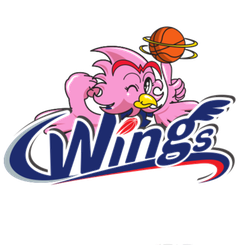 山梨县蜂王女篮